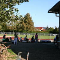 IMG 8478