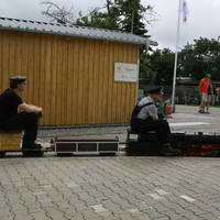 IMG 5390