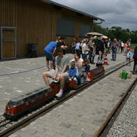 IMG 5504