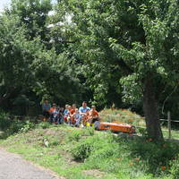 IMG 5554