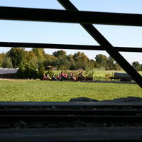 IMG 8559