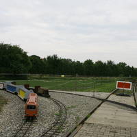 IMG 5258
