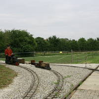 IMG 5263