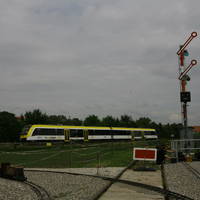 IMG 5266