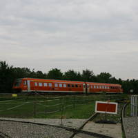 IMG 5262