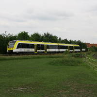IMG 5295