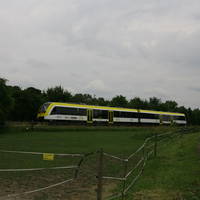 IMG 5304