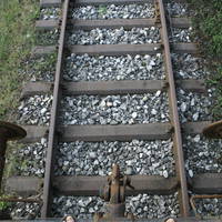 IMG 9862