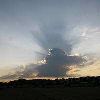 IMG 9864