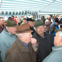 2011 03 19 0011