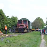 IMG 9584