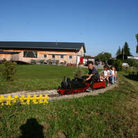 IMG 8609