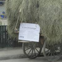 2011 06 26 0043