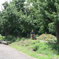 IMG 5555