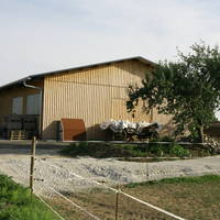 IMG 7773