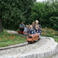 IMG 5398