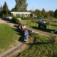 IMG 8595